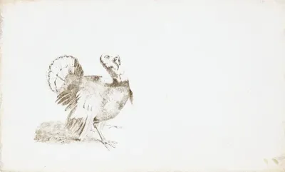 Kalkoen