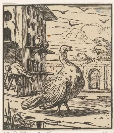 Kalkoen