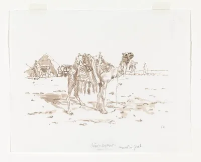 Kameel bij Gizeh