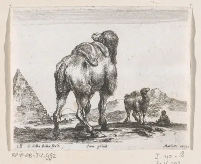 Kamelen