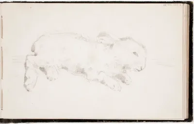 Kani