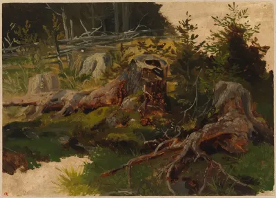 Kantoja metsässä