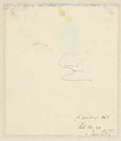 Karikeret profil