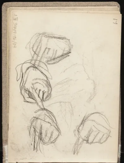 Käsiluonnoksia