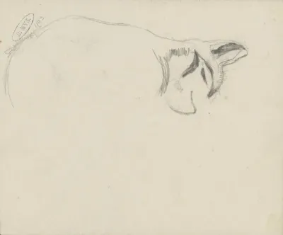 Kat