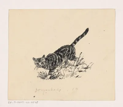 Kat