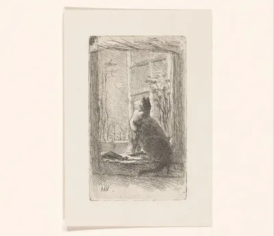 Kat in een venster