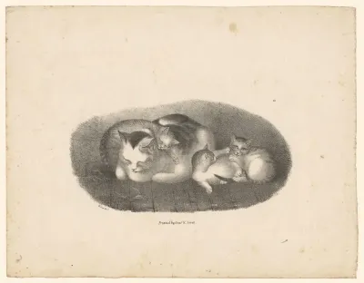 Kat met drie jongen