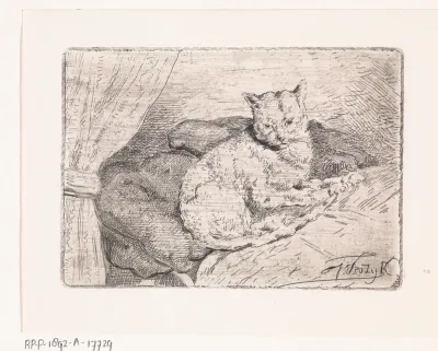 Kat op bed