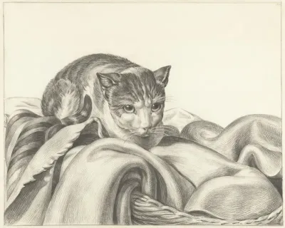 Kat, zittend in een mand