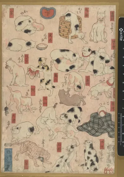 Katten voor de 53 stations van de Tokaido