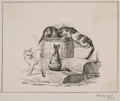 Kattene