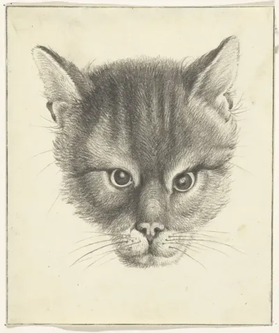 Kattenkop, van voren