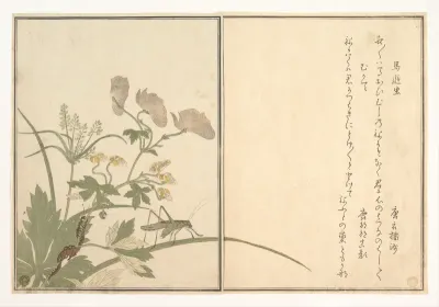 Katydid (Umaoi-mushi); Centipede, (Mukade), from the Picture Book of Crawling Creatures (Ehon mushi erami)