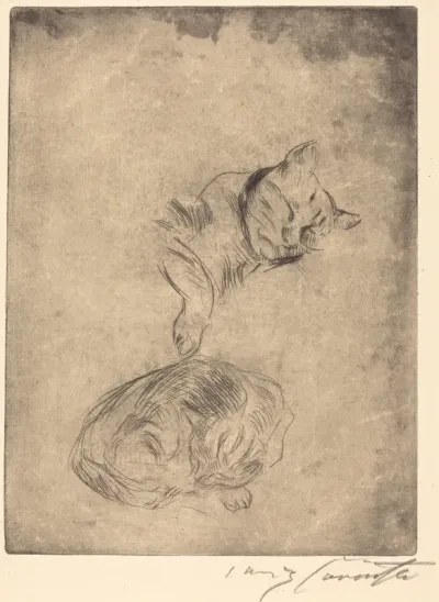 Katzenstudie (Study of Cats)