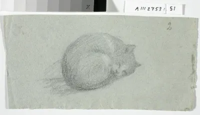 Kerälle kiertynyt kissa