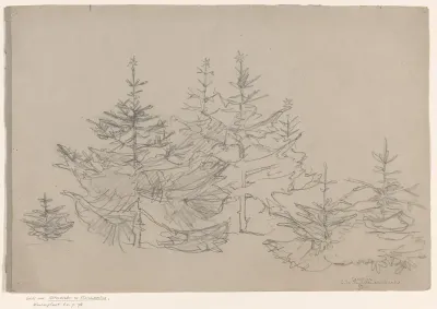 Kerstbomenbos