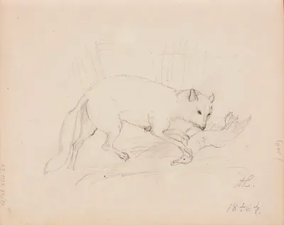 Kettu ja saalislintu. Merkitty: A.E.  /  18 1/1 64.
