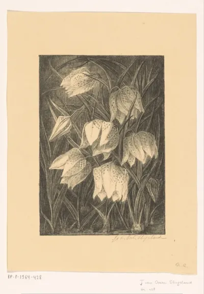 Kievitsbloemen