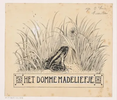 Kikker kijkt naar een madelief