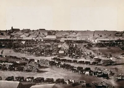 Kimberley, South Africa: a morning market in the town
