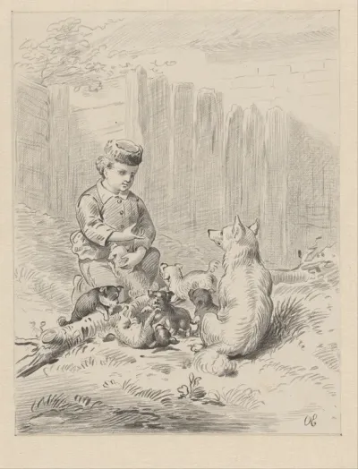 Kind met honden