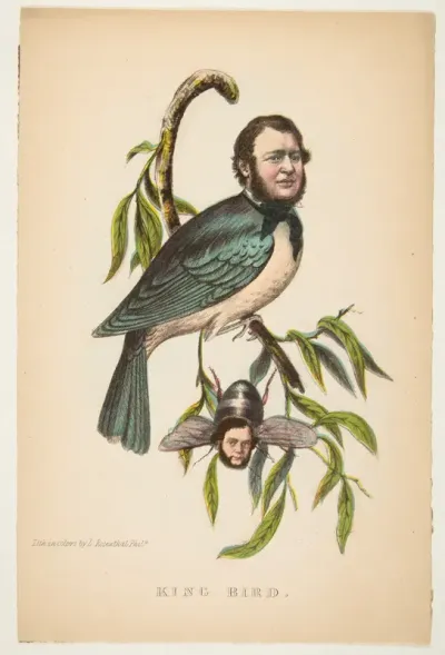 King Bird (Robert P. King and Alexander Baird), from "The Comic Natural History of the Human Race"