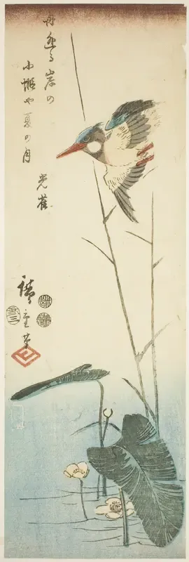 Kingfisher above a Yellow-flowered Water Plant