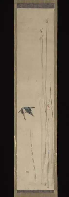 Kingfisher and Bulrushes