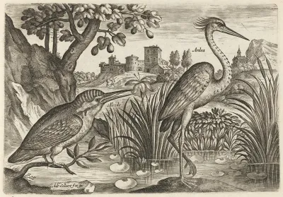 Kingfisher and Grey Heron