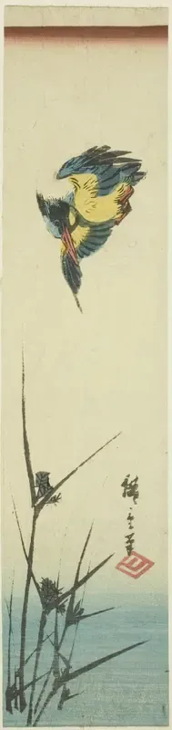 Kingfisher and reeds