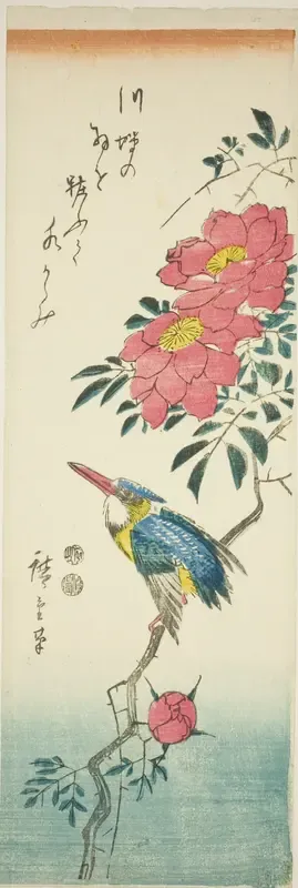 Kingfisher and roses