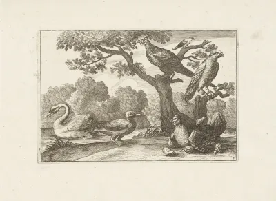Kip met kuikens en andere vogels