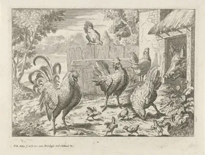 Kippen en een varken