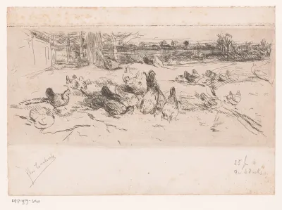 Kippen in het gras langs een weg