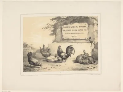 Kippen, konijnen en een duif