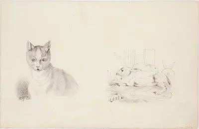 Kissa, merkitty: 18 29/4 72. ; Kaneja, merkintä: 18 12/12 72