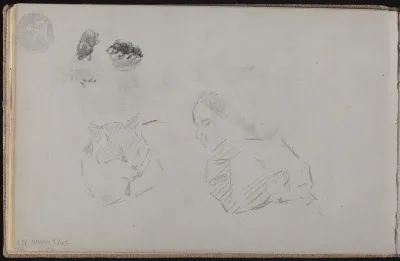 Kissa, Profiili