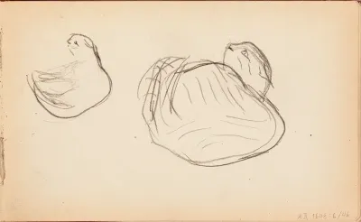 Kissoja, luonnos