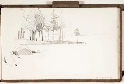 Kiviä, metsää