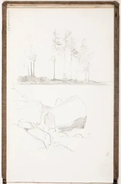 Kivikkoa, metsää
