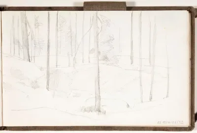 Kivikkoista metsää