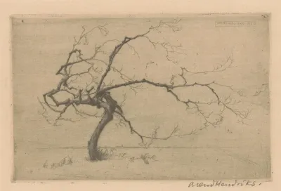 Klein boompje