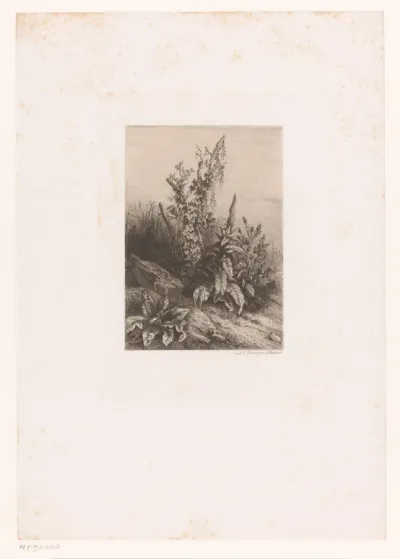 Klimplanten
