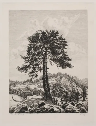 Klippelandskab