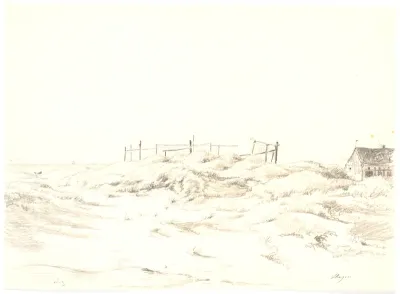 Klitlandskab, Skagen