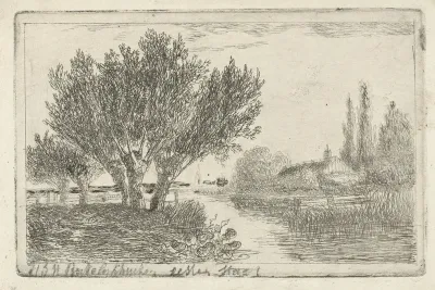 Knotwilgen aan een rivier