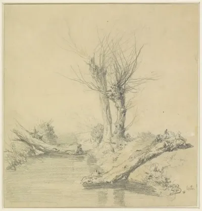 Knotwilgen aan een water