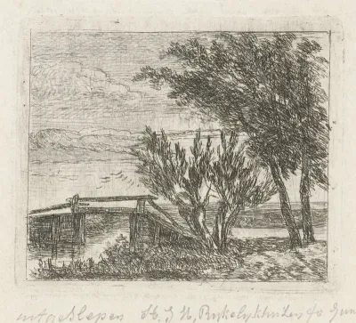 Knotwilgen bij een brug