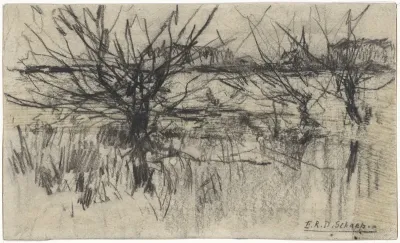 Knotwilgen langs het water